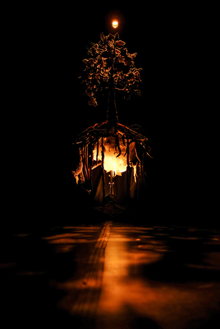Aurora - Marionetas de Mandragora